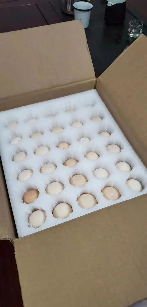 epe珍珠棉:新型环保包装材料全解析